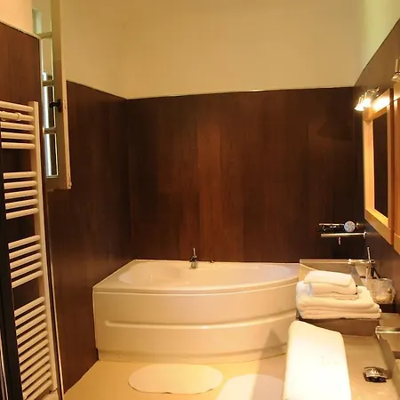 Hotell Restaurant Les Gorges De L'aveyron 3*