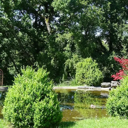 Hotell Restaurant Les Gorges De L'aveyron Bruniquel