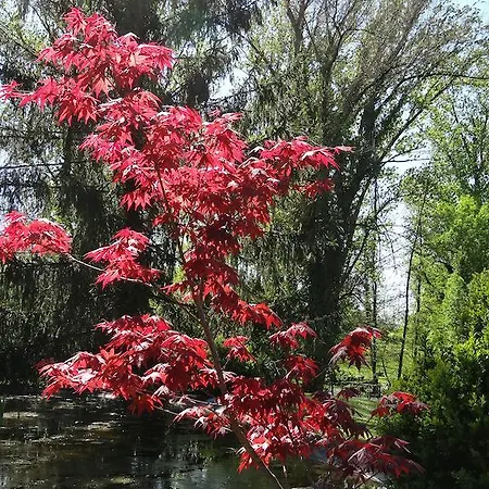Restaurant Les Gorges De L'aveyron 3*