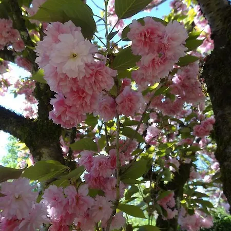 Restaurant Les Gorges De L'aveyron