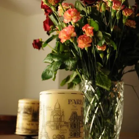 Hotell Restaurant Les Gorges De L'aveyron Bruniquel