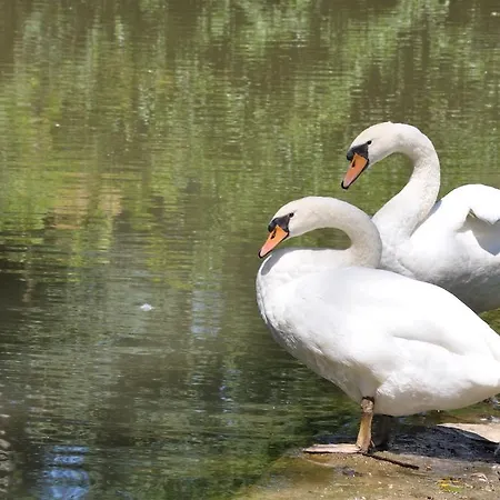 מלון Restaurant Les Gorges De L'aveyron