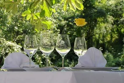 Restaurant Les Gorges De L'aveyron מלון Bruniquel